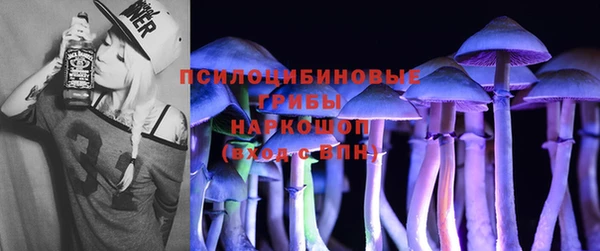 PSILOCYBIN Алексин