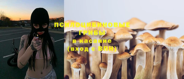 PSILOCYBIN Алексин