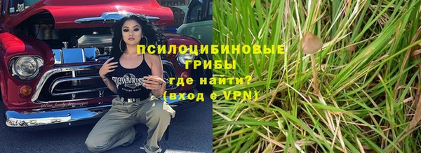 PSILOCYBIN Алексин