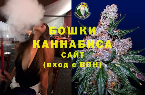 PSILOCYBIN Алексин
