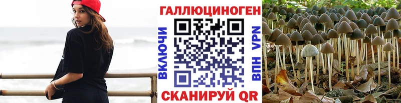darknet наркотические препараты  гидра как войти  Котовск  Псилоцибиновые грибы мухоморы 