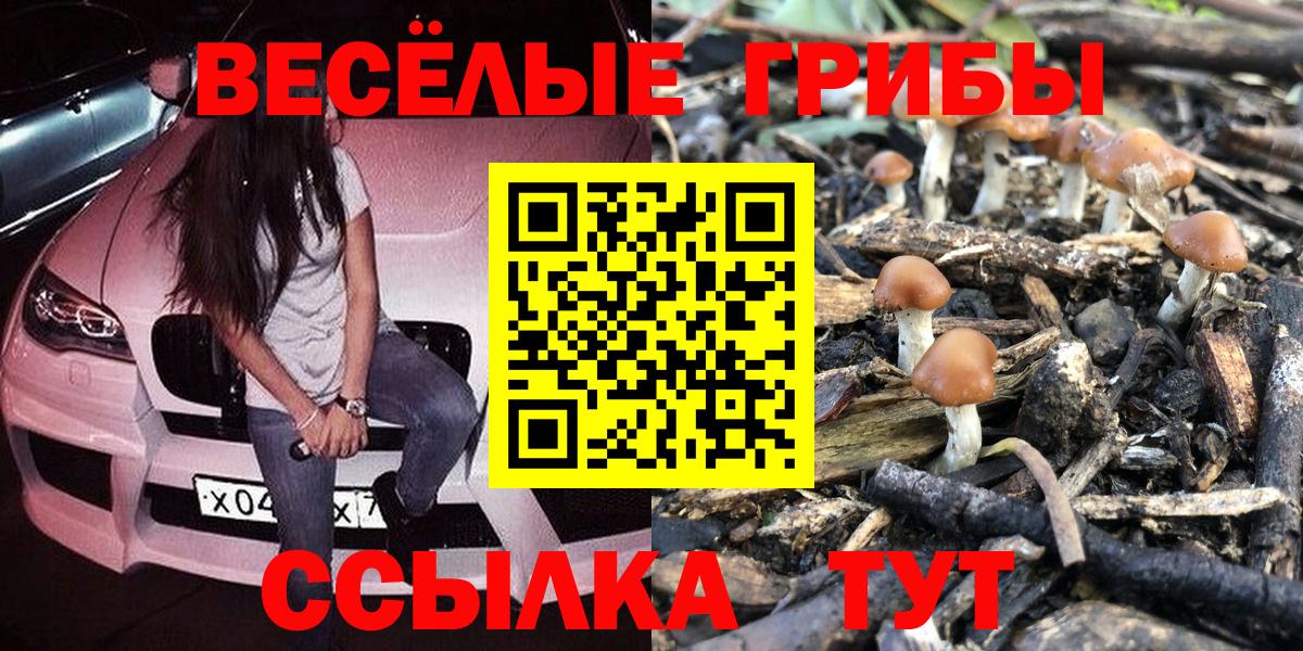 Котовск  Галлюциногенные грибы Psilocybine cubensis  Галлюциногенные грибы Cubensis  Вход с VPN 